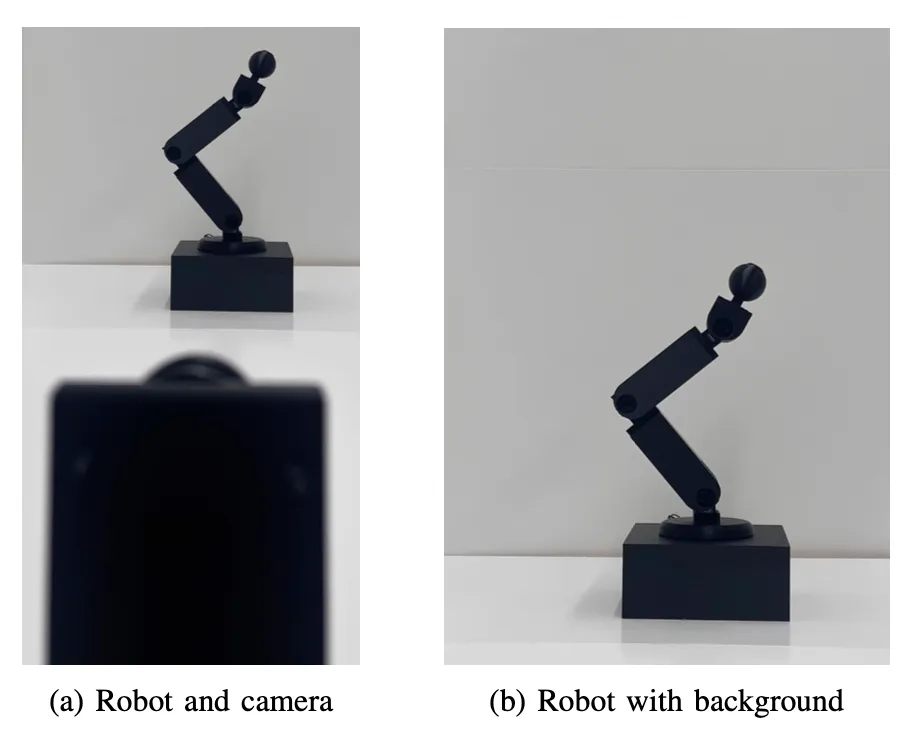 Robust Visual Embodiment